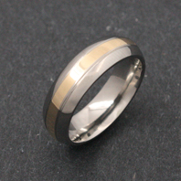Titanium Ring - Gold Teos